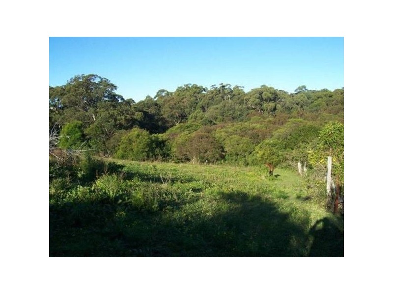 Whitebridge NSW 2290
