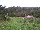 Whitebridge NSW 2290