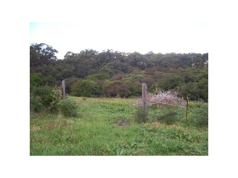 Whitebridge NSW 2290
