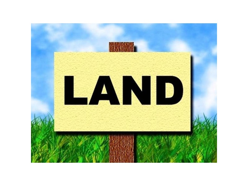 Shortland NSW 2307