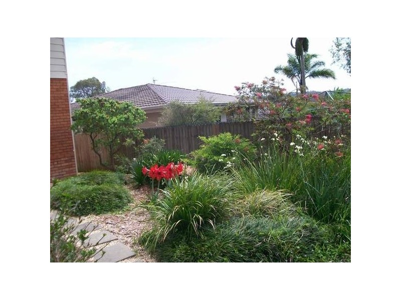 Adamstown Heights NSW 2289