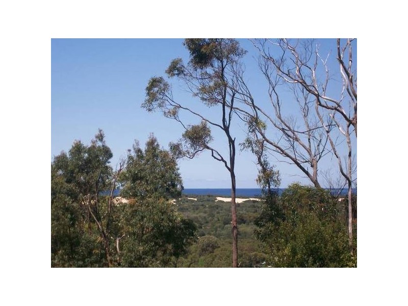 Belmont North NSW 2280