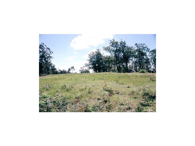 Dunns Creek Road, Paterson NSW 2421