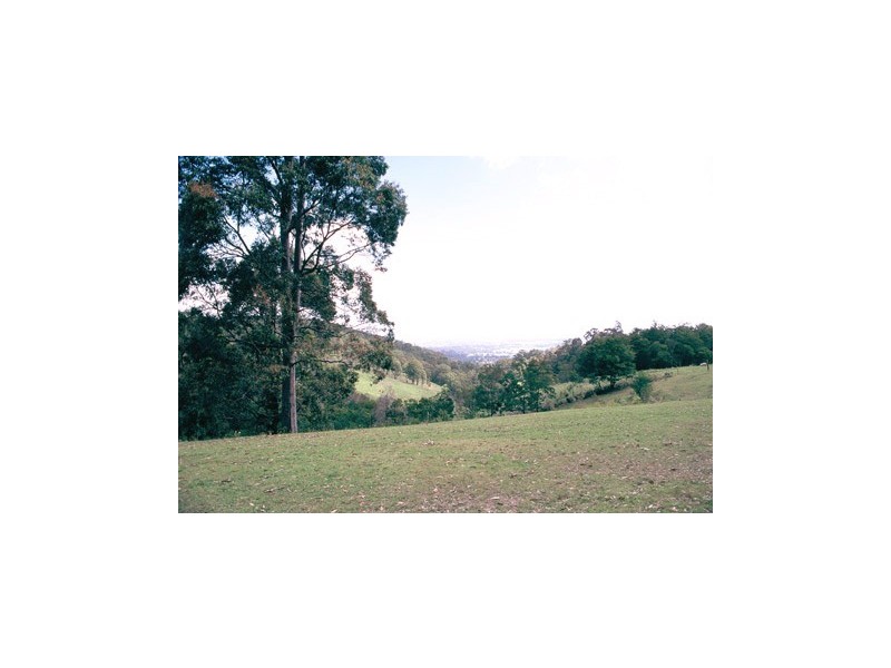 Dunns Creek Road, Paterson NSW 2421