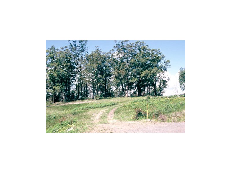 Dunns Creek Road, Paterson NSW 2421