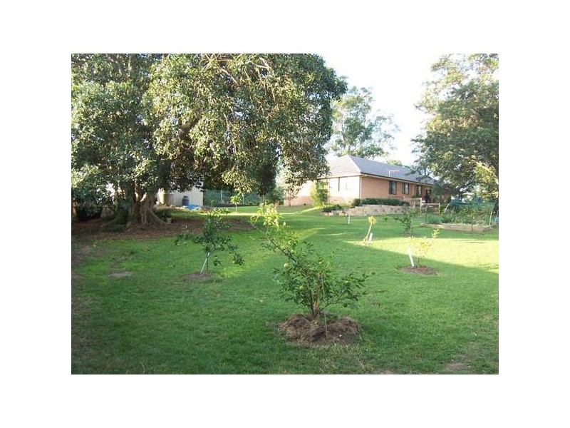 10 Elizabeth Street, Telarah NSW 2320