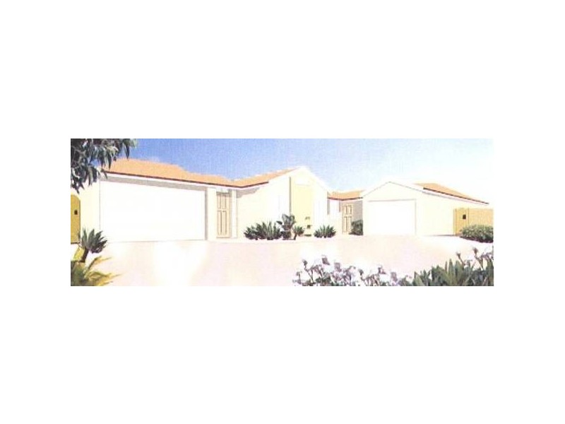 1 & 2/2 Smiths Lane, Raymond Terrace NSW 2324