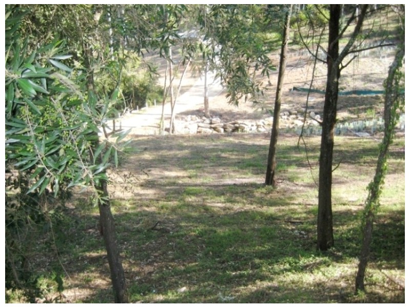 West Pennant Hills NSW 2125