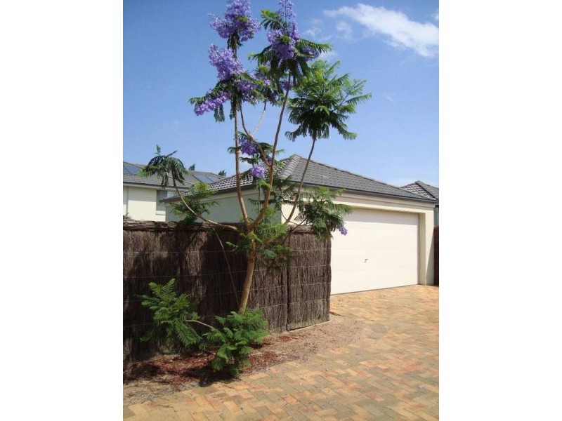 38 Rothbury Terrace, Stanhope Gardens NSW 2768