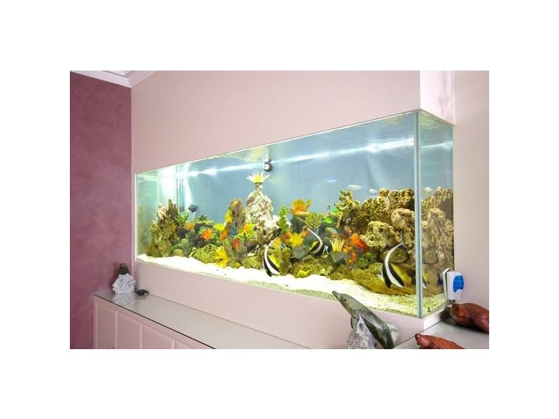 West Pennant Hills NSW 2125