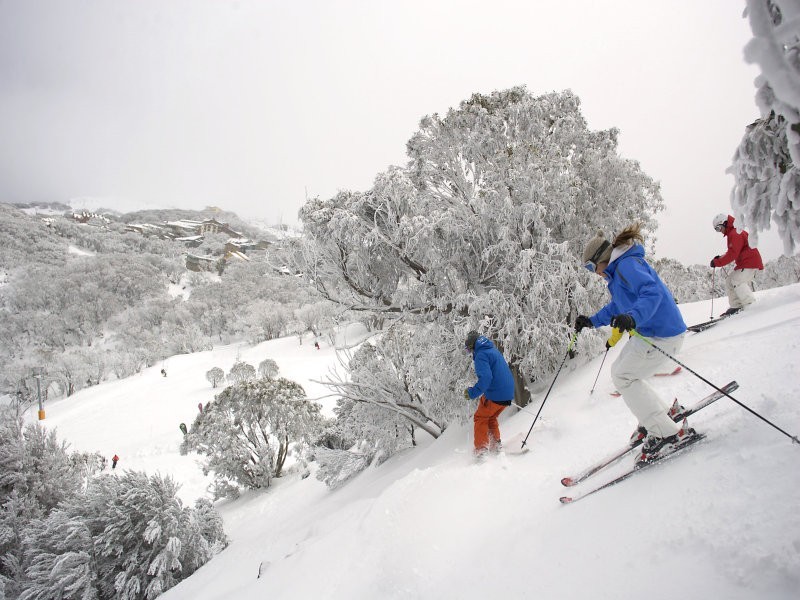 2/4 Omega St, Merrijig VIC 3723