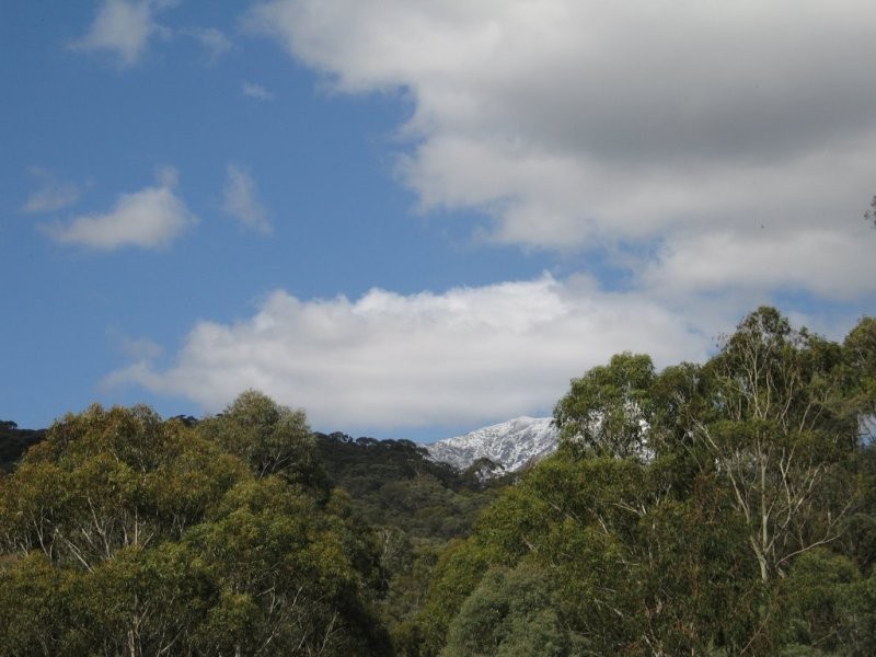 27 Mountain Rise, Merrijig VIC 3723