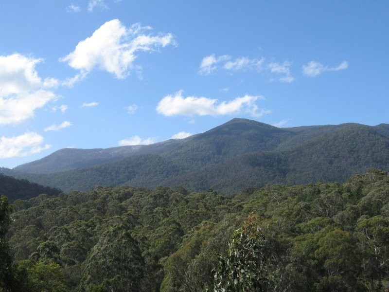 27 Mountain Rise, Merrijig VIC 3723