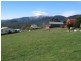 74 Alpine Ridge Drive, Merrijig VIC 3723