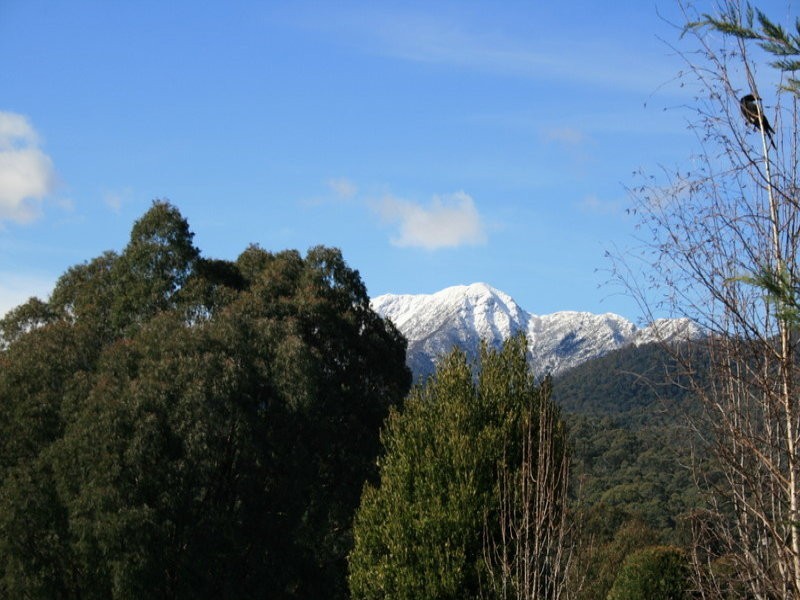 20 Alpine Ridge Drive, Alpine Ridge,, Merrijig VIC 3723