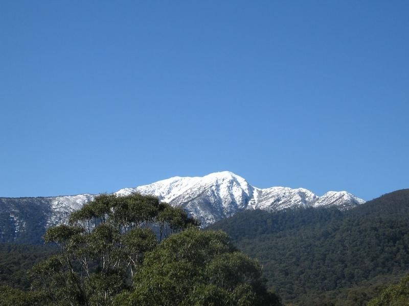 76 Alpine Ridge Drv, Merrijig VIC 3723