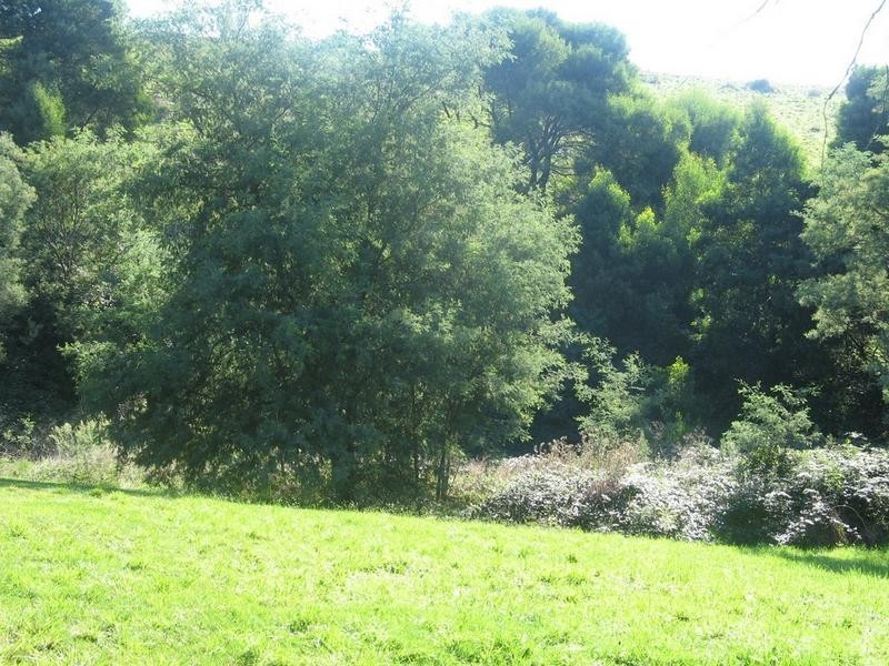 5 Meadow View Court, Merrijig VIC 3723