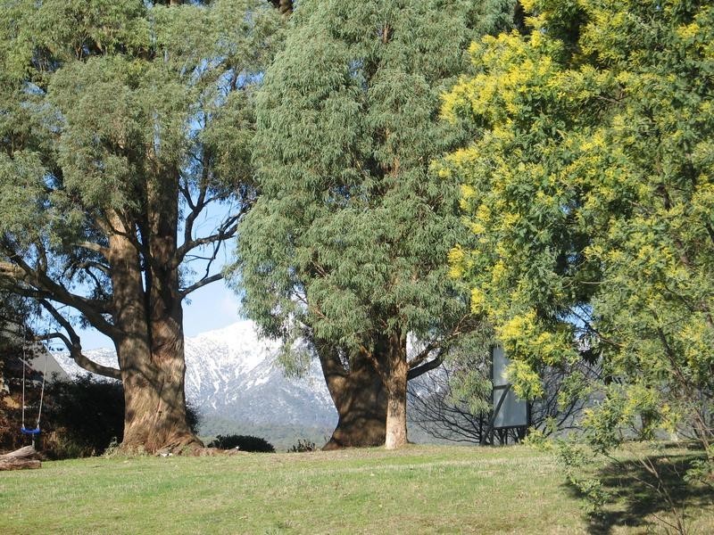 Lot 6 Meadow View Court, Merrijig VIC 3723