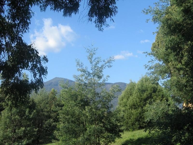 Lot 6 Meadow View Court, Merrijig VIC 3723