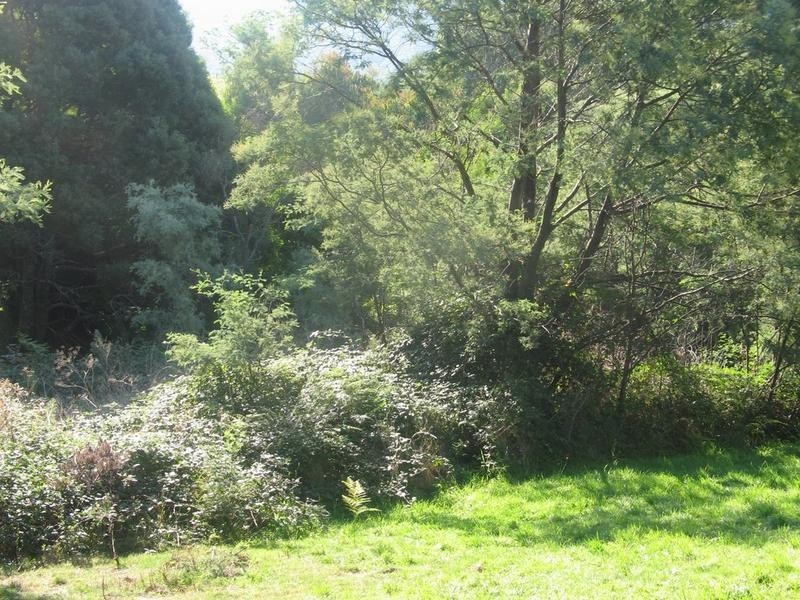 Lot 6 Meadow View Court, Merrijig VIC 3723