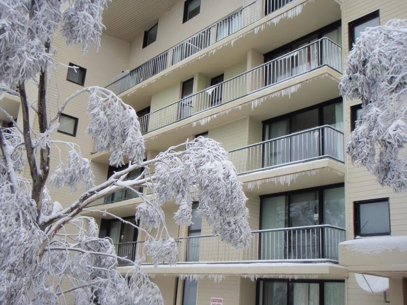 605/206 Summit Rd, Mount Buller VIC 3723