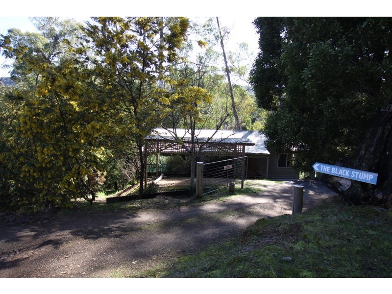 2657 Mt Buller Rd, Merrijig VIC 3723