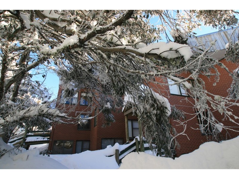 12/198 Summit Rd, Mount Buller VIC 3723