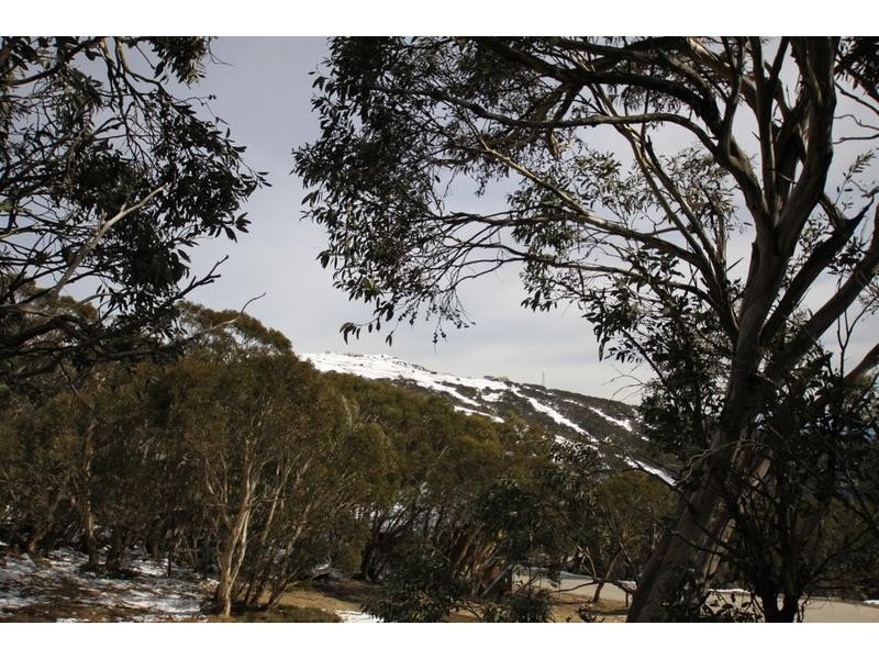 100A Goal Post Road, Mount Buller VIC 3723