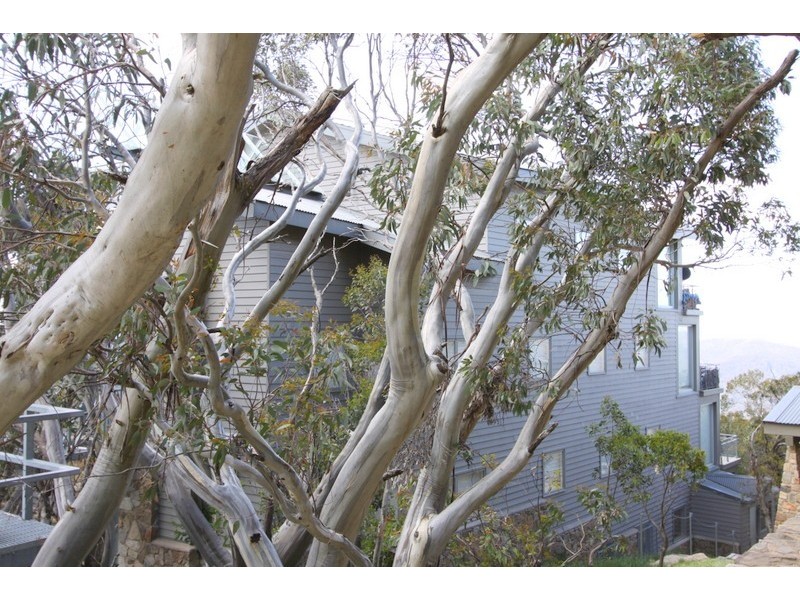 3E/78 Chamois Close, Mount Buller VIC 3723