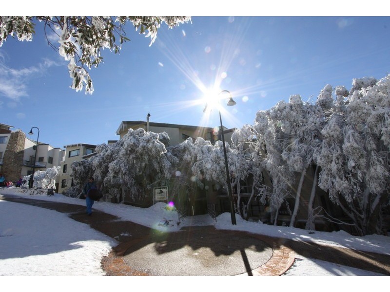 705/206 Summt Rd, Mount Buller VIC 3723