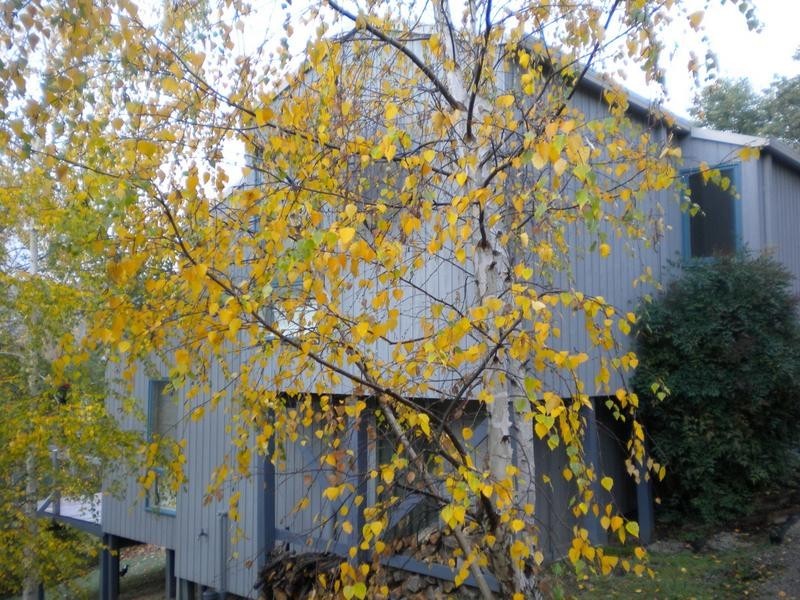 2/1 Summit View Crt, Merrijig VIC 3723