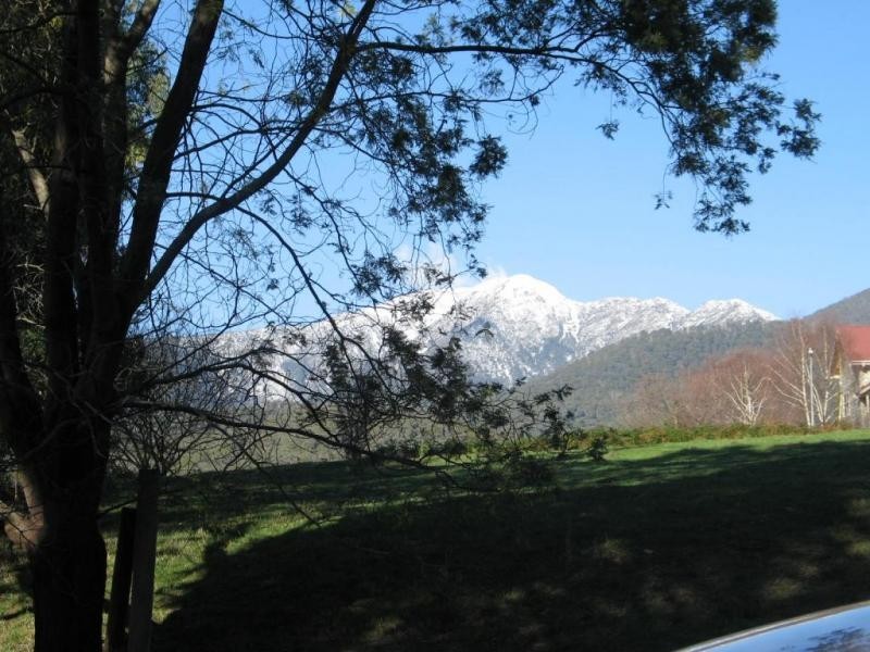 5 and 6 Meadow View Crt, Merrijig VIC 3723