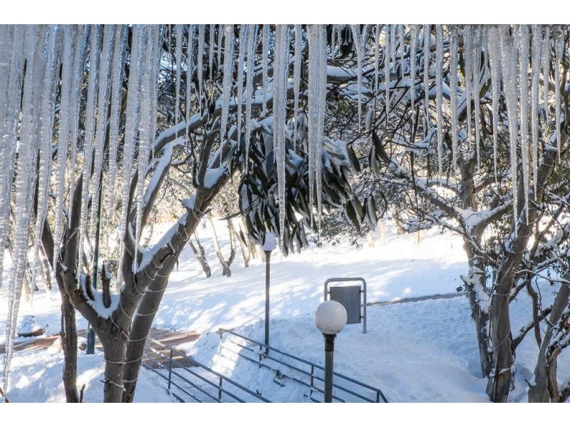 709/206 Summit Rd, Mount Buller VIC 3723