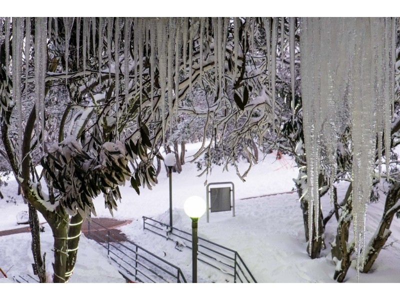 709/206 Summit Rd, Mount Buller VIC 3723