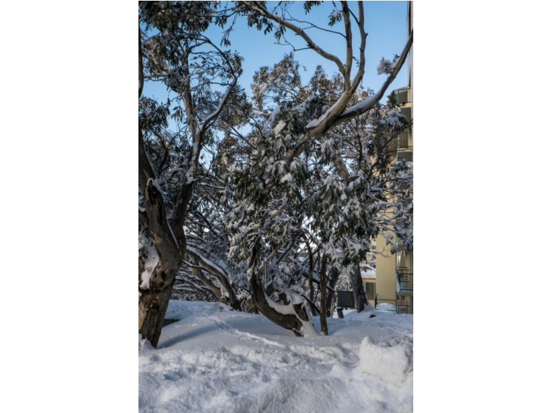 709/206 Summit Rd, Mount Buller VIC 3723