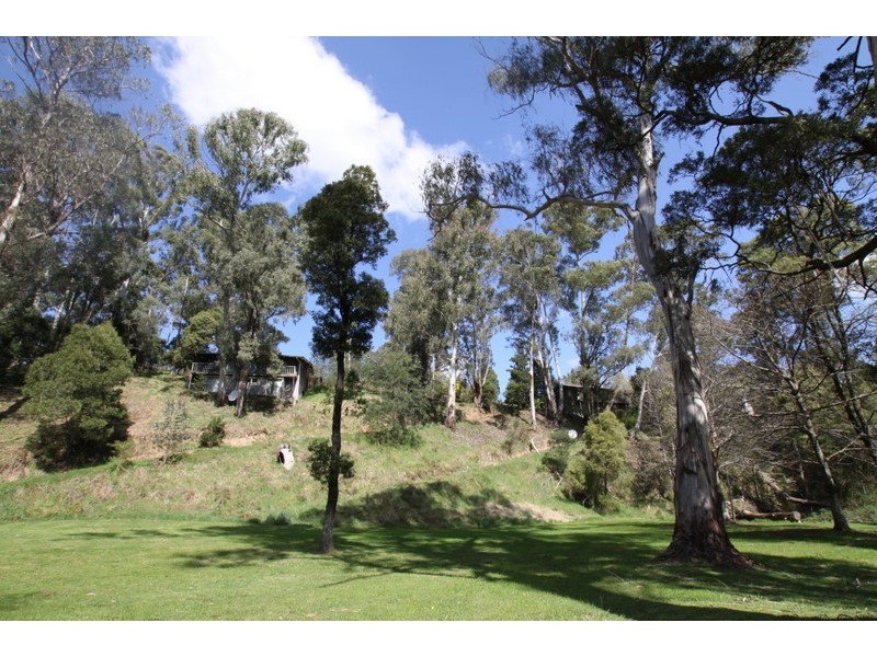 2657 Mt Buller Rd, Merrijig VIC 3723