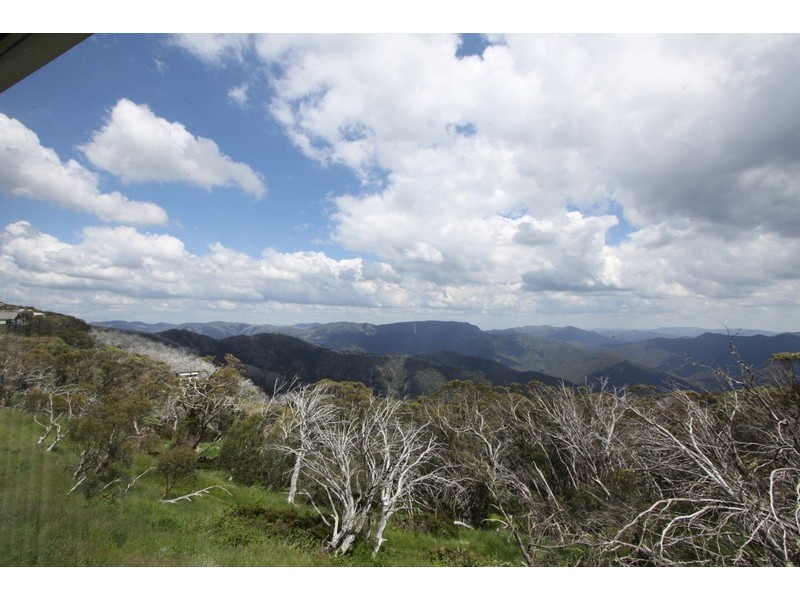 8/14 The Avenue, Mount Buller VIC 3723