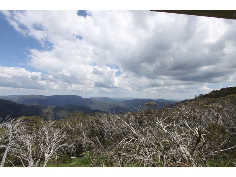 8/14 The Avenue, Mount Buller VIC 3723