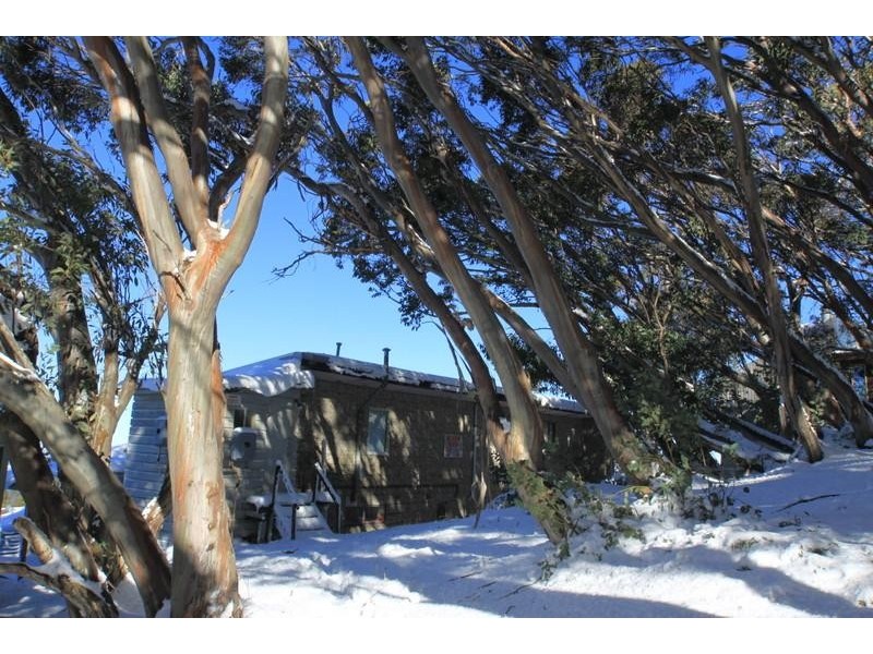 5/146 Standard Lane, Mount Buller VIC 3723