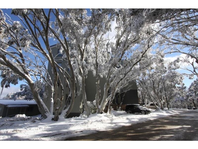 11/56 Stirling Rd, Mount Buller VIC 3723
