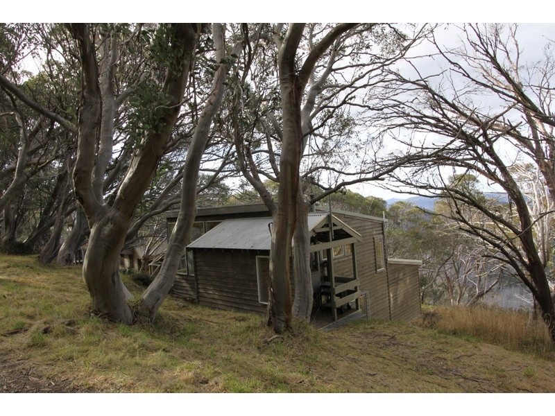 17 The Avenue, Mount Buller VIC 3723