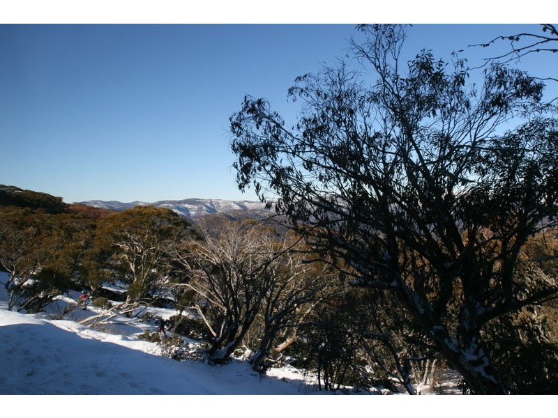 7/14 The Avenue, Mount Buller VIC 3723