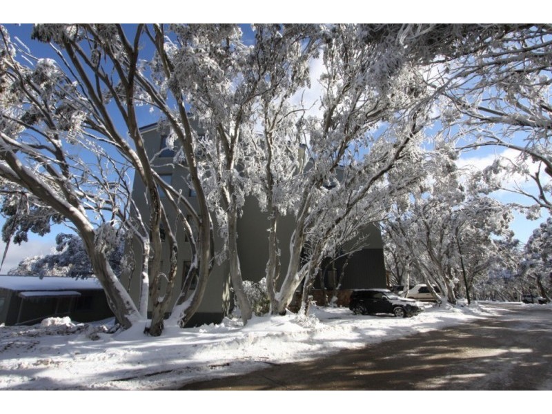 4/56 Stirling Rd, Mount Buller VIC 3723