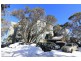 17/56 Stirling Rd, Mount Buller VIC 3723