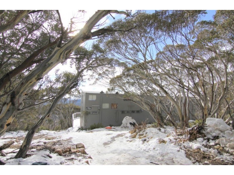 8/143 Delatite Lane, Mount Buller VIC 3723