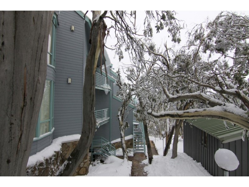 4/73 Chamois Rd, Mount Buller VIC 3723