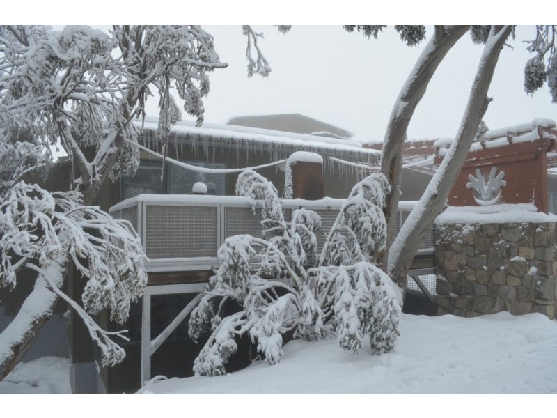 19/240 Chamois Rd, Mount Buller VIC 3723