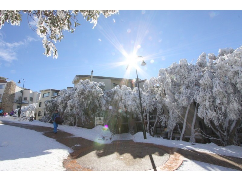708/206 Summit Rd, Mount Buller VIC 3723