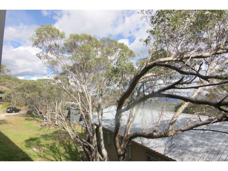 8/56 Stirling Rd, Mount Buller VIC 3723