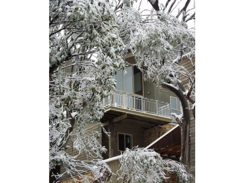 2/61 Chamois Rd, Mount Buller VIC 3723